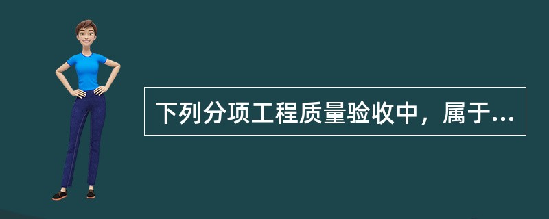 下列分项工程质量验收中，属于一般项目的是（　）。