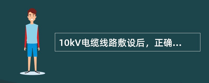 10kV电缆线路敷设后，正确的电缆绝缘电阻测量方法有（）。