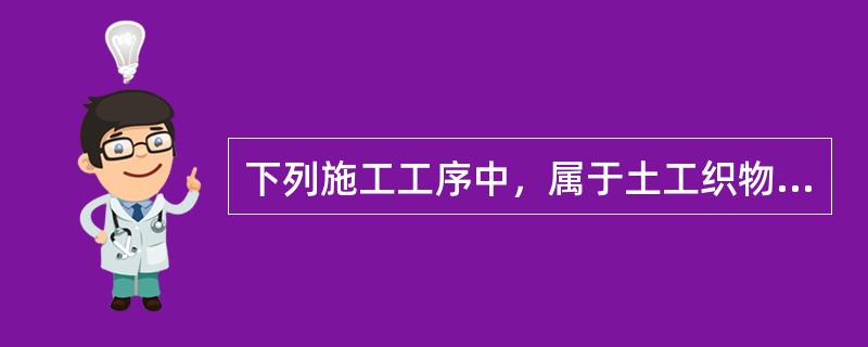 下列施工工序中，属于土工织物软体排护滩施工的有()。