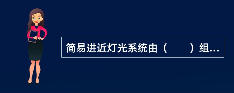 简易进近灯光系统由（　　）组成。