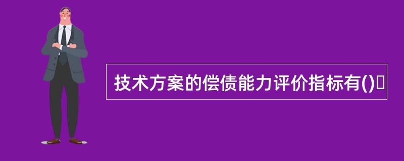 技术方案的偿债能力评价指标有()｡