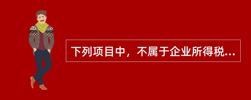 下列项目中，不属于企业所得税优惠政策的是（　）。