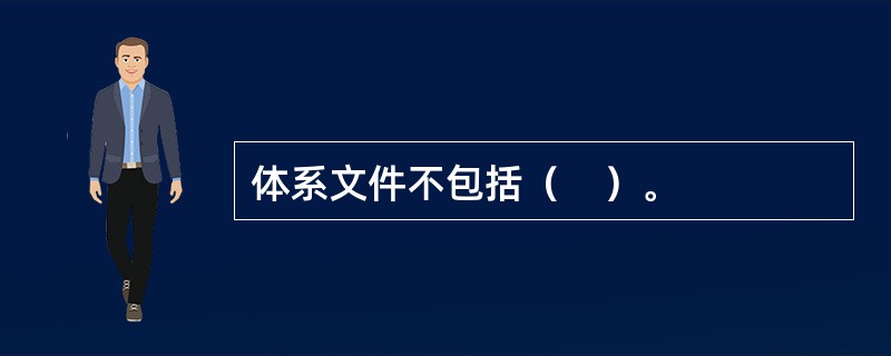 体系文件不包括（　）。
