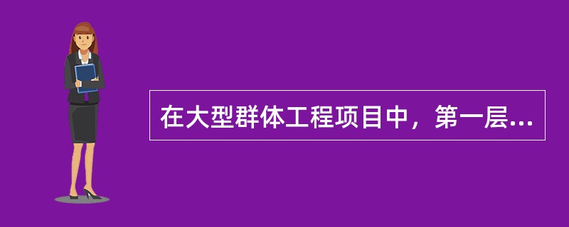 在大型群体工程项目中，第一层次质量控制体系可由（）的项目管理机构负责建立。