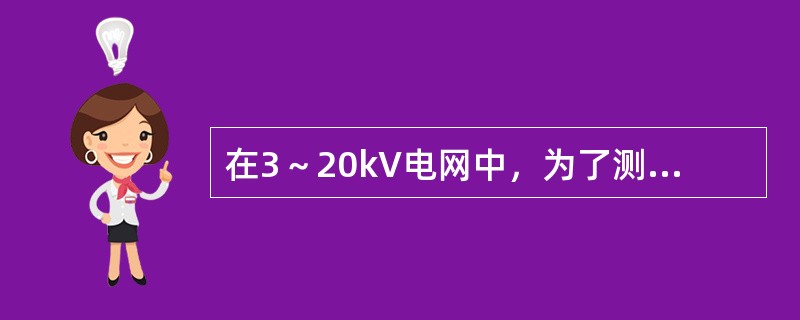 在3～20kV电网中，为了测量相对地电压，通常采用（　　）。