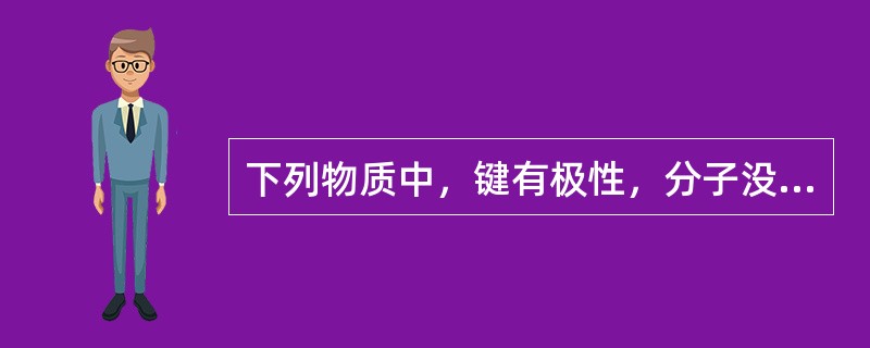 下列物质中，键有极性，分子没有极性的是（　　）。