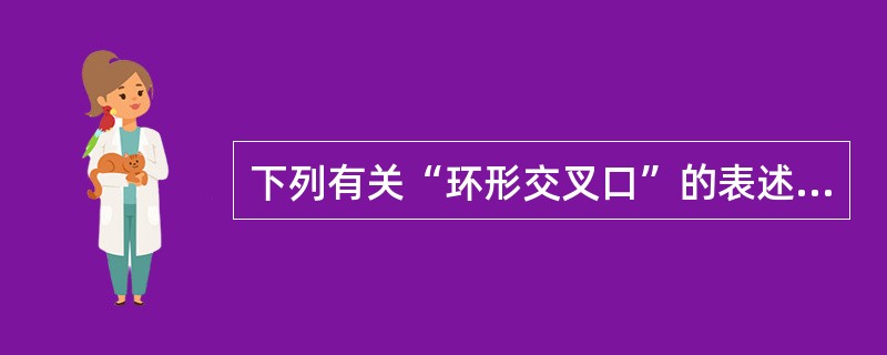 下列有关“环形交叉口”的表述，哪些项是正确的？（　　）