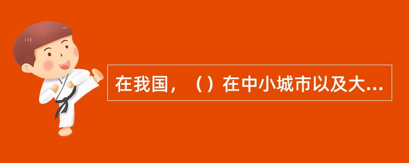 在我国，（）在中小城市以及大城市的低价位房地产市场中占据着一定的市场份额。