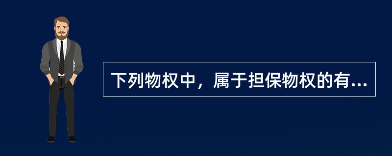 下列物权中，属于担保物权的有（）。