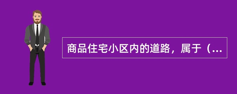 商品住宅小区内的道路，属于（　）。