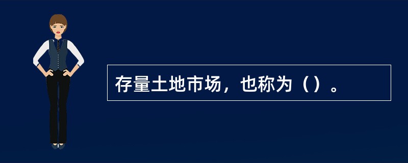 存量土地市场，也称为（）。
