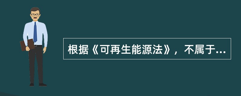 根据《可再生能源法》，不属于可再生能源发展专项资金重点支持方向的是（　　）。