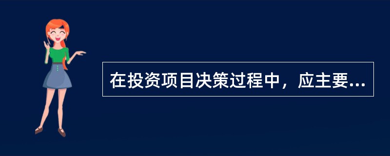 在投资项目决策过程中，应主要遵循的原则有（　　）。