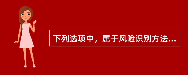 下列选项中，属于风险识别方法的有（　）。