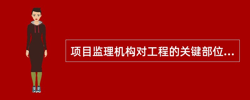 项目监理机构对工程的关键部位或关键工序的施工质量进行的监督活动是（　　）。