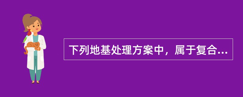 下列地基处理方案中，属于复合地基做法的是（）。