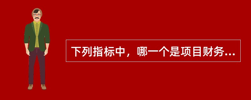 下列指标中，哪一个是项目财务评价结论中的重要指标？（　　）
