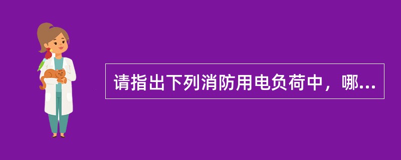 请指出下列消防用电负荷中，哪一个可以不在最末一级配电箱处设置电源自动切换装置？（　　）