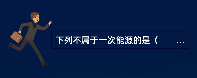 下列不属于一次能源的是（　　）。