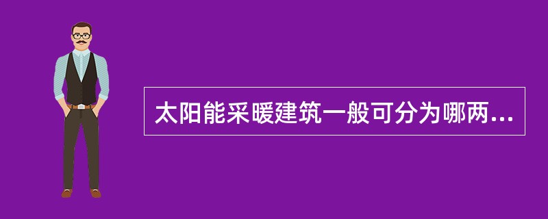 太阳能采暖建筑一般可分为哪两大类？（　　）[2010年真题]