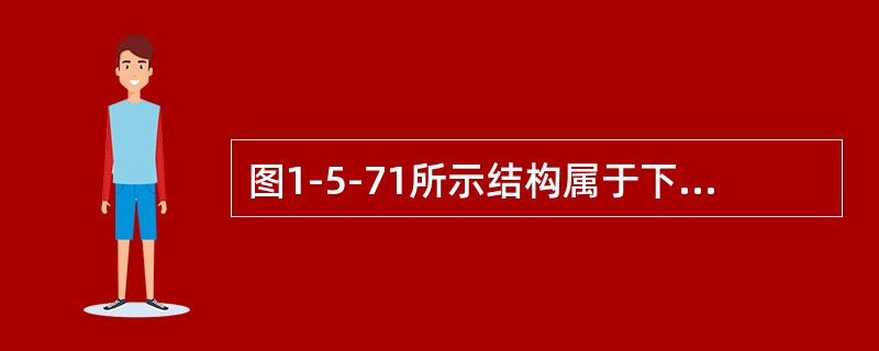 图1-5-71所示结构属于下列何种体系？（　　）[2008年真题]<img border="0" style="width: 196px; height: 83px