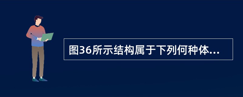 图36所示结构属于下列何种体系？（　　）<br /><img border="0" style="width: 238px; height: 46px;