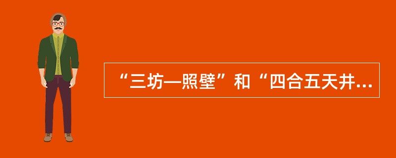 “三坊—照壁”和“四合五天井”是哪个地方和民族的住宅布局形式？（　　）[2012年真题]