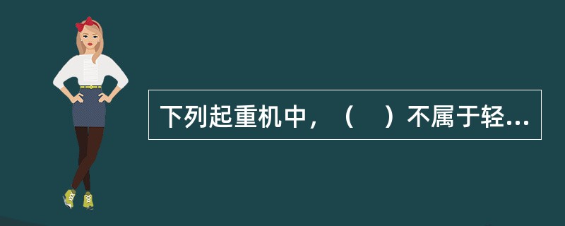 下列起重机中，（　）不属于轻小型起重设备。