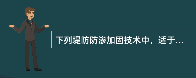 下列堤防防渗加固技术中，适于在背水侧采用的方法有（　　）。