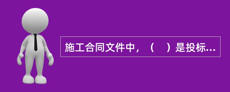 施工合同文件中，（　）是投标人进行投标报价和发包人进行工程支付的实物依据。