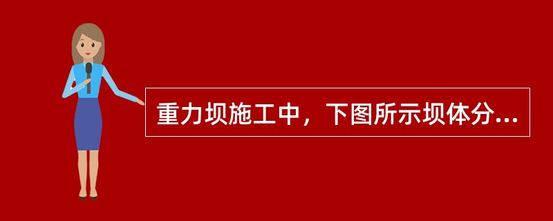 重力坝施工中，下图所示坝体分缝分块形式属于（　）。<br /><img border="0" src="https://img.zhaotiba.com