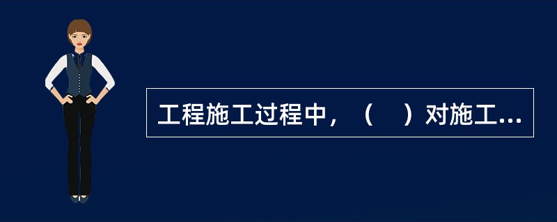 工程施工过程中，（　）对施工进度计划应进行定期或不定期审核。