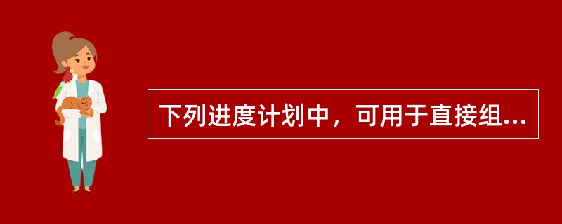 下列进度计划中，可用于直接组织施工作业的计划是（）。