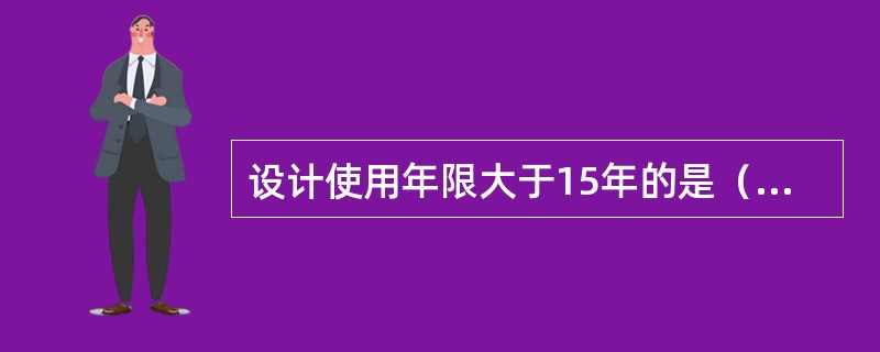 设计使用年限大于15年的是（）路面。