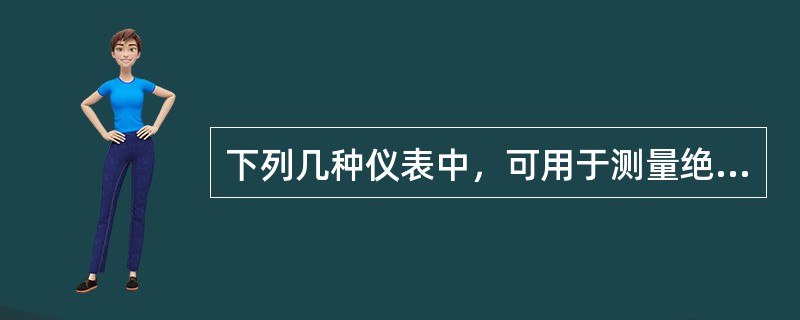 下列几种仪表中，可用于测量绝缘电阻的仪表是（）。