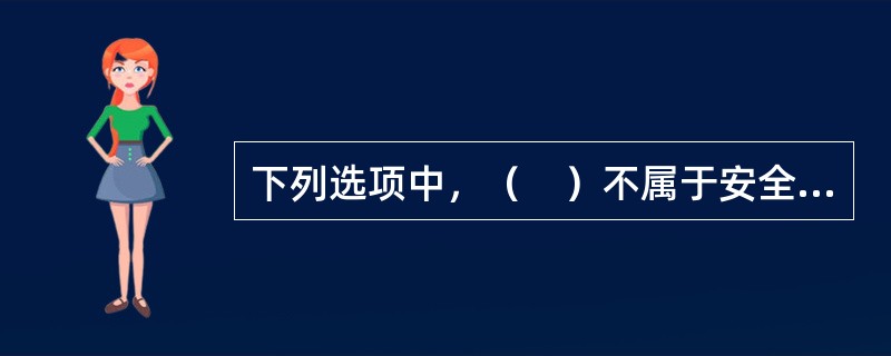 下列选项中，（　）不属于安全评价标准的法律依据。