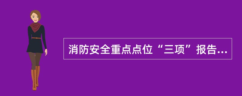 消防安全重点点位“三项”报告备案制度中，不包括（）。