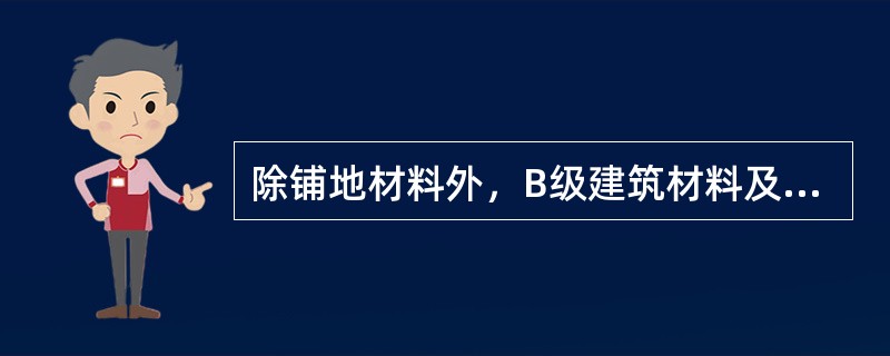 除铺地材料外，B级建筑材料及制品燃烧性能等级应给出的附加信息不包括（）。