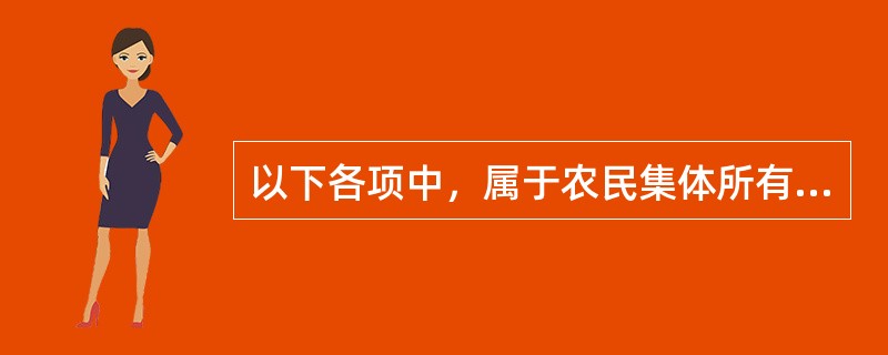 以下各项中，属于农民集体所有的是（　）。