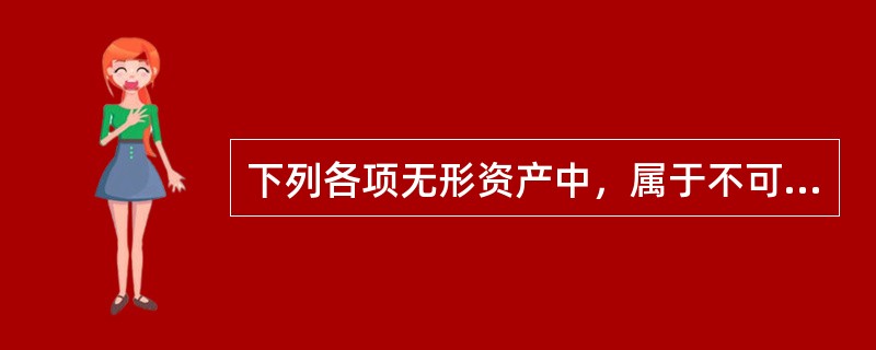 下列各项无形资产中，属于不可辨认的无形资产的是（）。