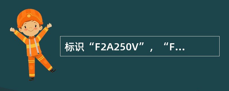 标识“F2A250V”，“F”表示快速动作，“2A”表示额定电流2A，“250V”表示额定电压250V。 <br />
