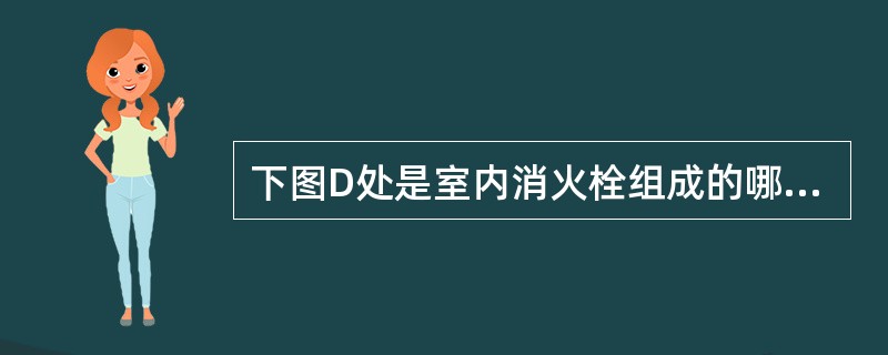 下图D处是室内消火栓组成的哪一部分（ ）。 <br /><img border="0" alt="" src="data\868