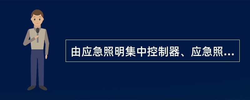 由应急照明集中控制器、应急照明集中电源、集中电源集中控制型消防应急灯具及相关附件组成，其中消防应急灯具可为持续型或非持续型。其特点是所有消防应急灯具的工作状态都受应急照明集中控制器控制。（）