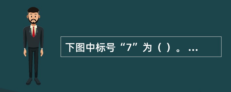 下图中标号“7”为（ ）。 <br /><img border="0" alt="" src="https://img.zhaoti