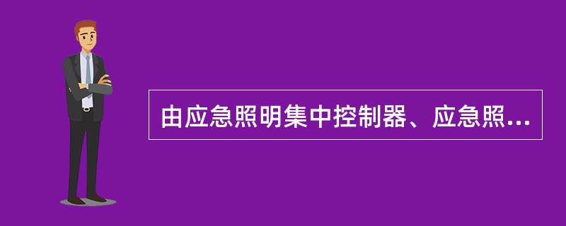 由应急照明集中控制器、应急照明集中电源、集中电源集中控制型消防应急灯具及相关附件组成，其中消防应急灯具可为持续型或非持续型。其特点是所有消防应急灯具的工作状态都受应急照明集中控制器控制。（　）