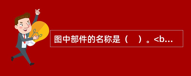 图中部件的名称是（　）。<br /><img border="0" style="width: 119px; height: 152px;"