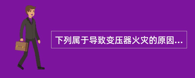 下列属于导致变压器火灾的原因（　）。