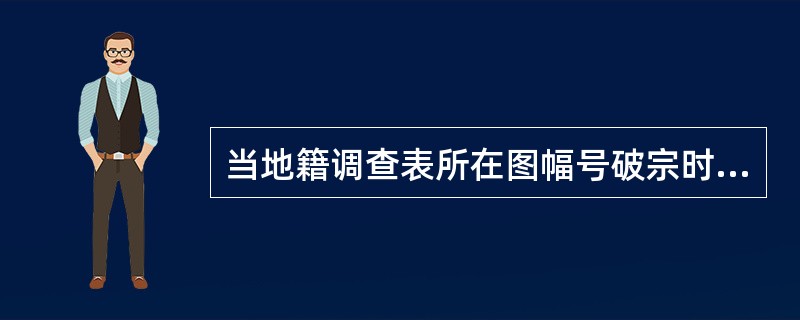 当地籍调查表所在图幅号破宗时，其图幅号（　　）。
