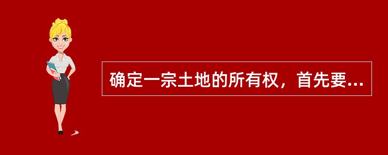 确定一宗土地的所有权，首先要确定（　　）。