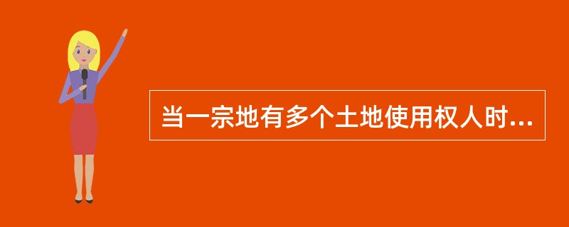 当一宗地有多个土地使用权人时，下列土地登记表格填写方式正确的有（　　）。
